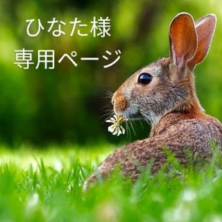 【ひなた様 専用ページ】(女性タレント)