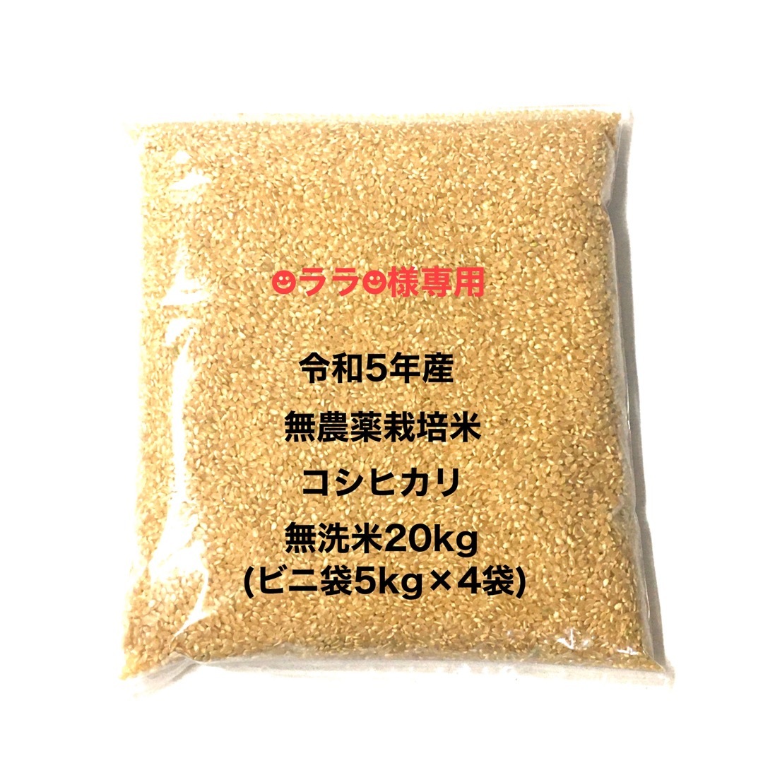 ☻ララ☻様専用 無農薬コシヒカリ無洗米20kg(5kg×4)ビニ袋梱包 食品/飲料/酒の食品(米/穀物)の商品写真