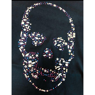 ルシアンペラフィネ(Lucien pellat-finet)のルシアンペラフィネ　メンズTシャツ　Lサイズ(Tシャツ/カットソー(半袖/袖なし))