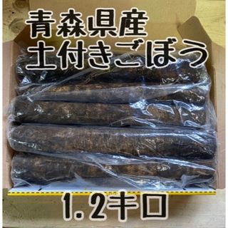 青森県産！土付きごぼう　1.2キロ(野菜)