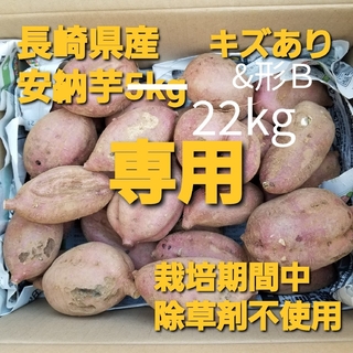 【専用】長崎県産さつまいも安納22kg栽培期間中除草剤不使用(野菜)