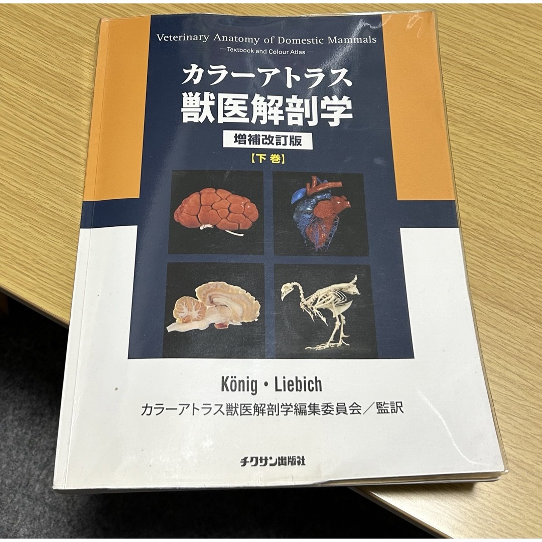ラッピング無料】 カラーアトラス獣医解剖学 下巻 健康・医学 - www ラッピング無料】 カラーアトラス獣医解剖学 下巻 健康・医学 - www