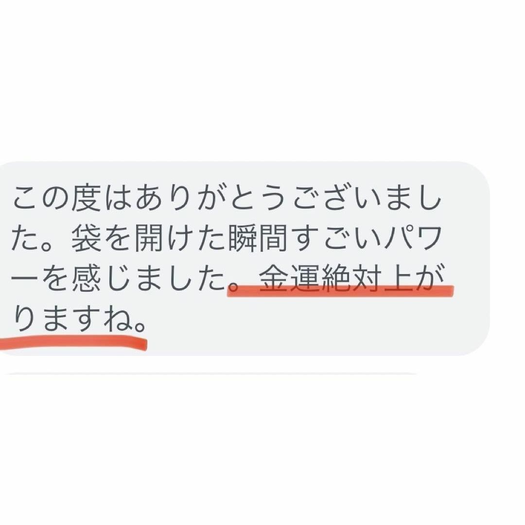 【12時間限定価格】金運最強御守り 臨時収入宝くじ高額当選強力効果あり その他のその他(その他)の商品写真