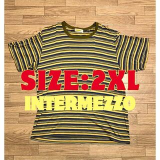 インターメッツォ(INTERMEZZO)のINTERMEZZO マルチカラーボーダーTシャツ - 3Lサイズ（2XL相当）(Tシャツ/カットソー(半袖/袖なし))