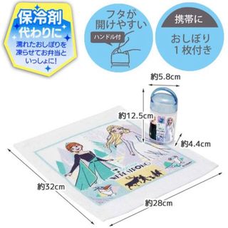 アナトユキノジョオウ(アナと雪の女王)の新品 アナと雪の女王 スケーター ケース付おしぼり 入園グッズ ディズニー(弁当用品)