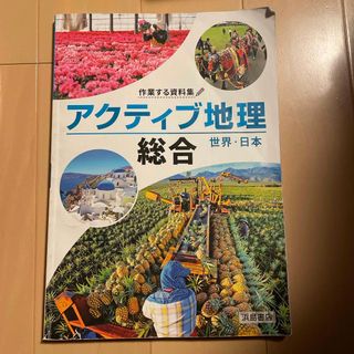  アクティブ地理　総合　世界•日本　浜島書店　(人文/社会)