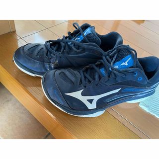 ミズノ(MIZUNO)のMIZUNO ミズノ バドミントン シューズ ウエーブクロー 2(バドミントン)