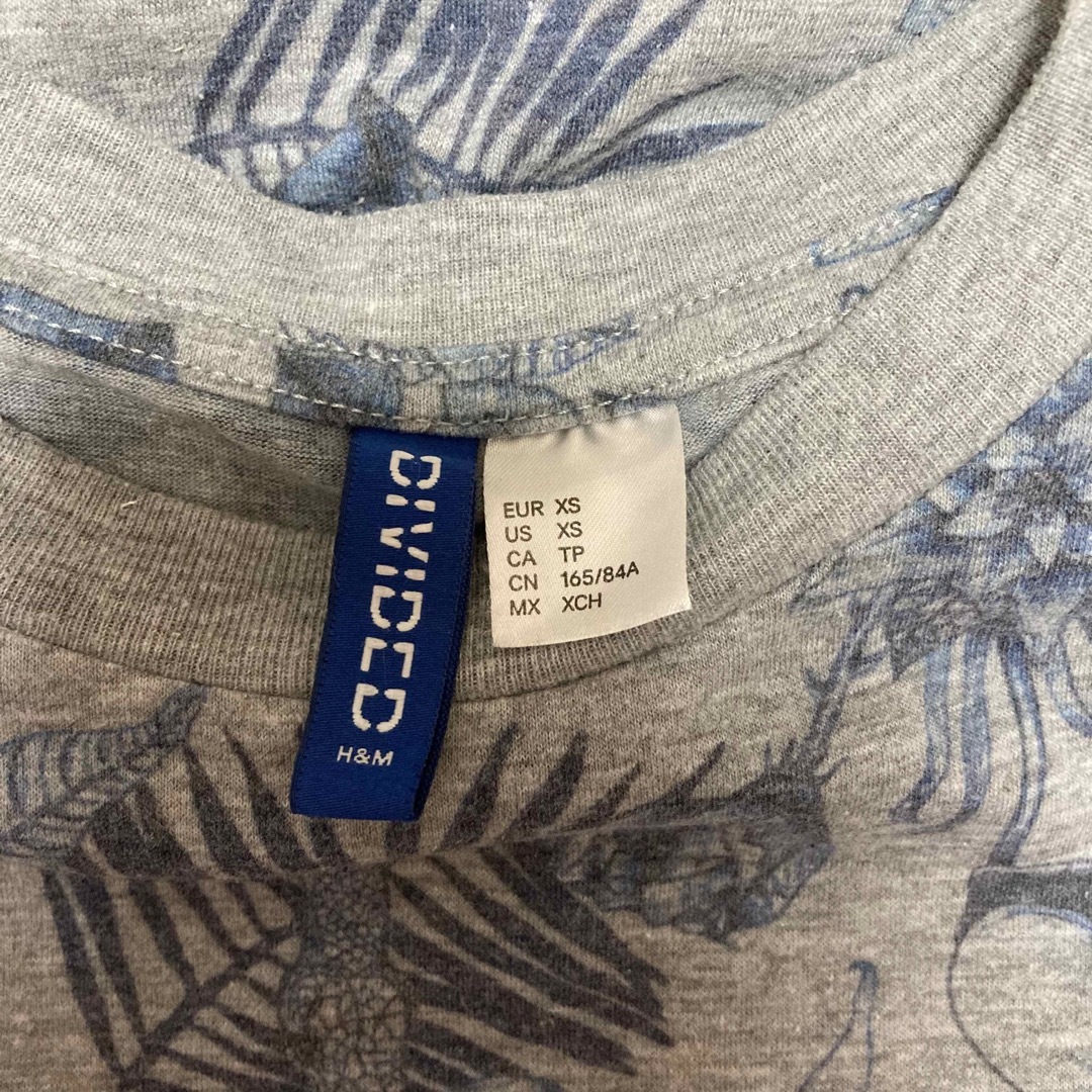 H&M Tシャツ レディースのトップス(Tシャツ(半袖/袖なし))の商品写真