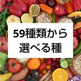 59種類 選べる種(その他)