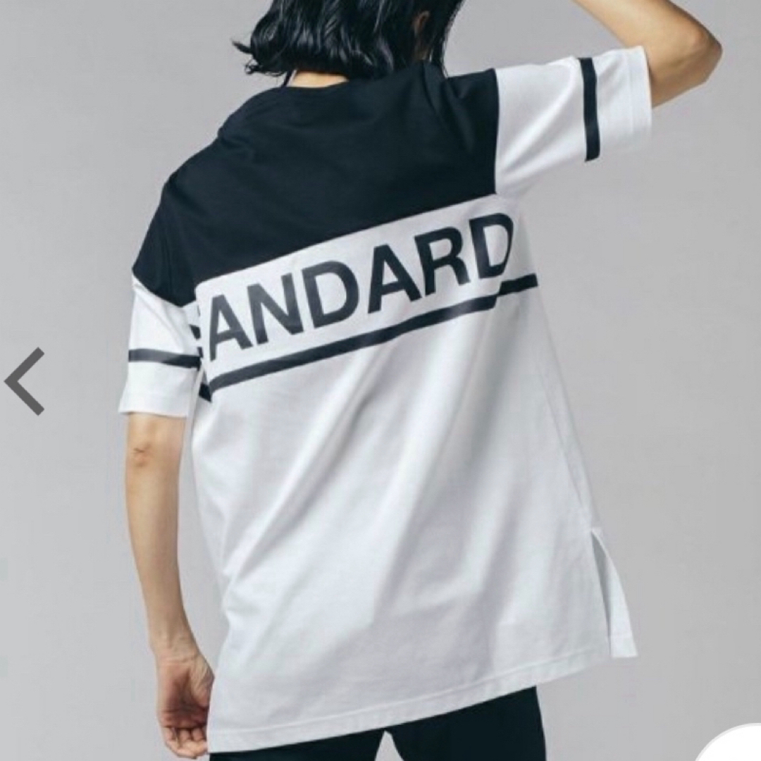 DOUBLE STANDARD CLOTHING(ダブルスタンダードクロージング)のダブルスタンダードクロージング　スーピマコットンポンチTシャツ レディースのトップス(カットソー(半袖/袖なし))の商品写真