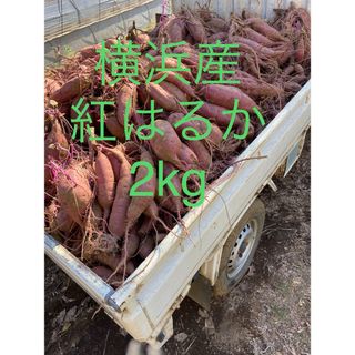 さつまいも　紅はるか　2kg(野菜)