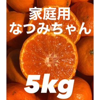 愛媛県産みかん なつみ 箱込5kg 柑橘 ミカン 果物(フルーツ)