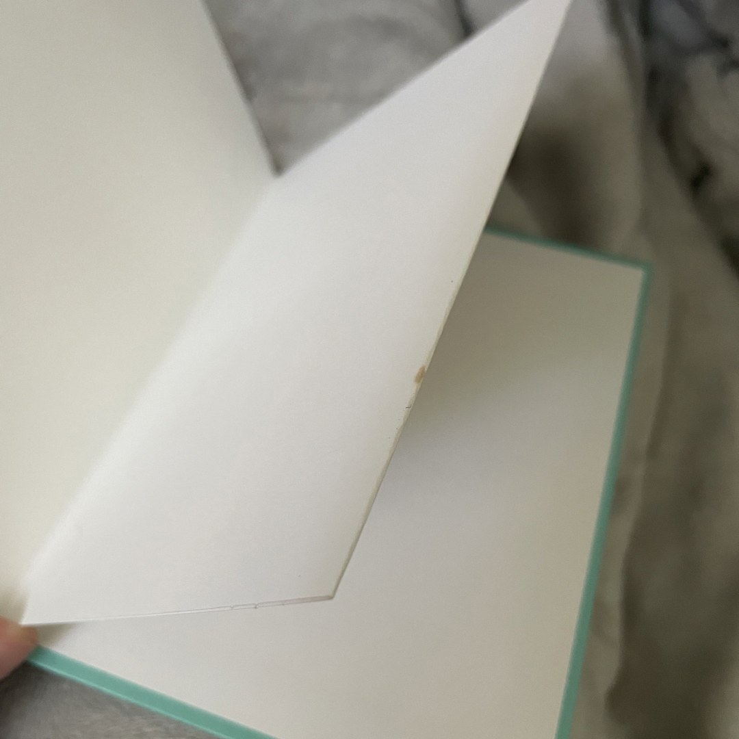 Tiffany & Co. - Tiffany& Co. ティファニー 写真立て フォト Tiffany & Co. - Tiffany& Co. ティファニー 写真立て フォト