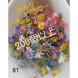 訳あり81スターフラワーミニ７色　200個以上(ドライフラワー)