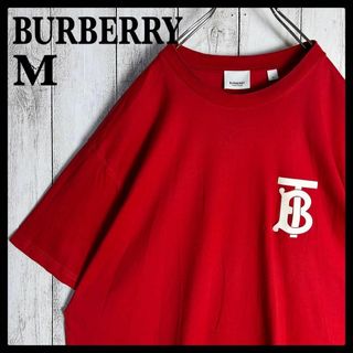 バーバリー(BURBERRY)の【限定モデル】バーバリー☆TBロゴ入りTシャツ 希少カラー ティッシ期(Tシャツ/カットソー(半袖/袖なし))