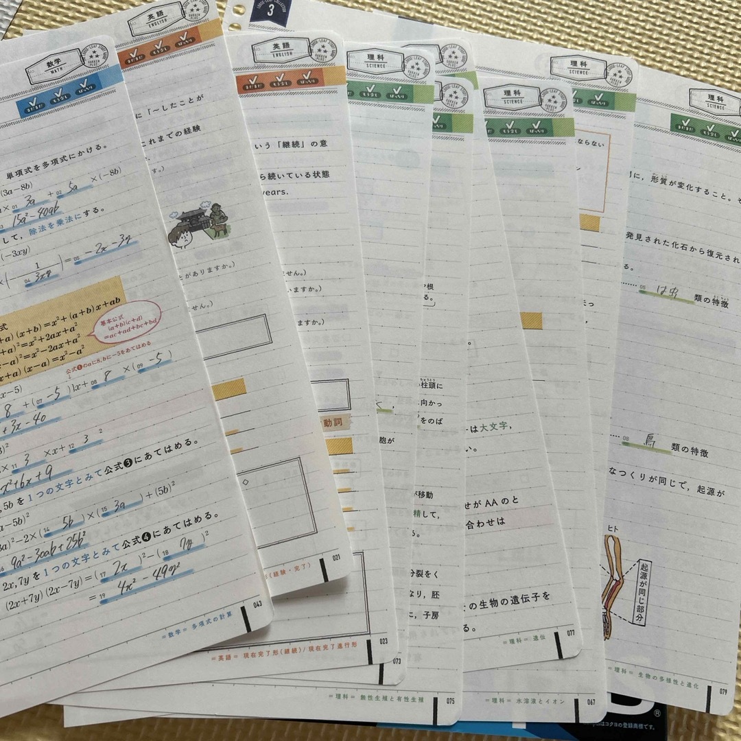 学研(ガッケン)のルーズリーフ参考書中３　５教科　キャンパス　コクヨ エンタメ/ホビーの本(語学/参考書)の商品写真