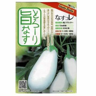 とろーり旨なす　種子10粒　（ 白ナスの種）　なすのステーキがおいしい(野菜)