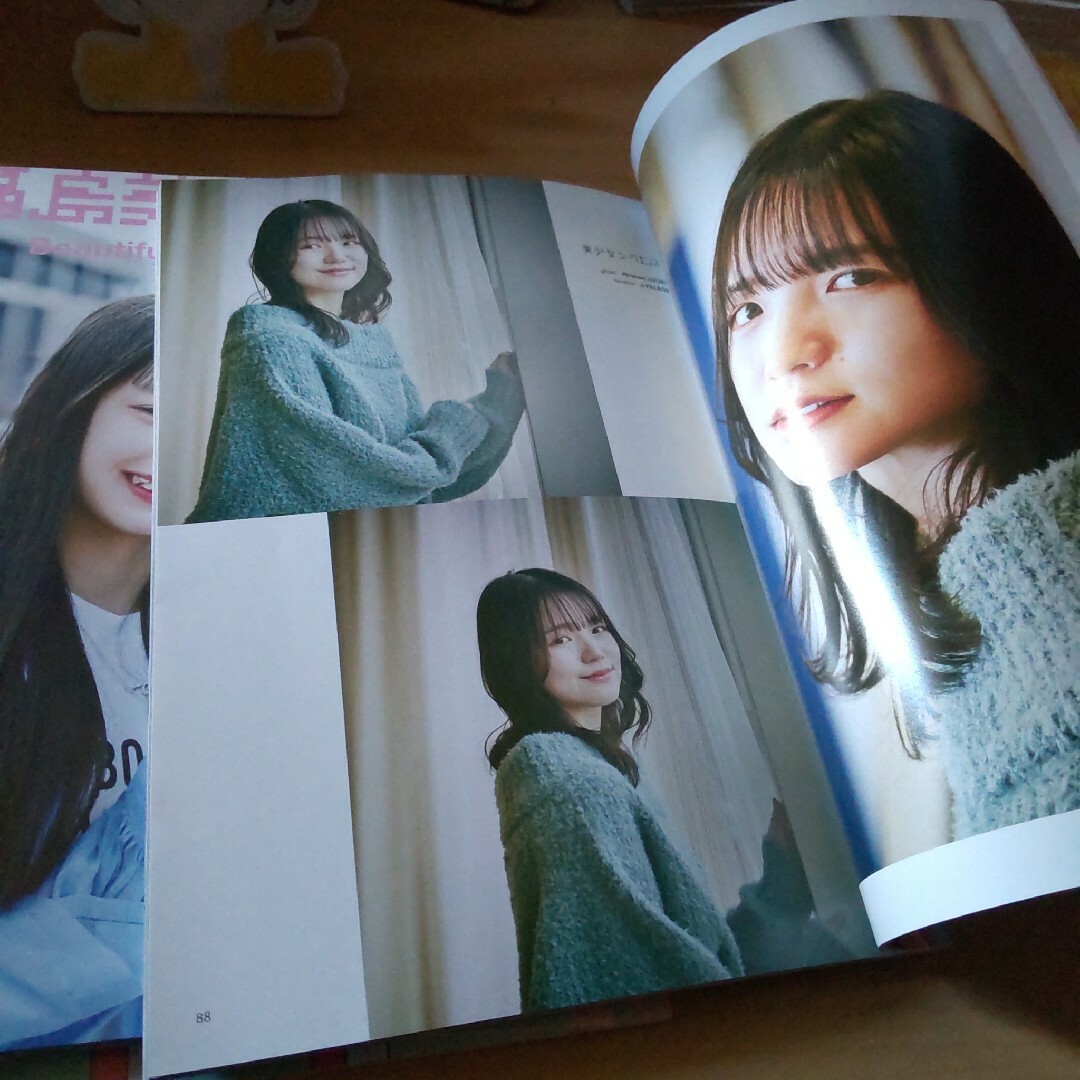 福島美少女図鑑　vol.15 エンタメ/ホビーの雑誌(アート/エンタメ/ホビー)の商品写真