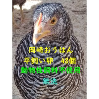 【着払い】岡崎おうはん　平飼いたまご　48個　動物性飼料不使用　無洗(その他)