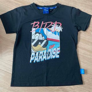 ディズニー(Disney)の130 ドナルド　半袖(Tシャツ/カットソー)