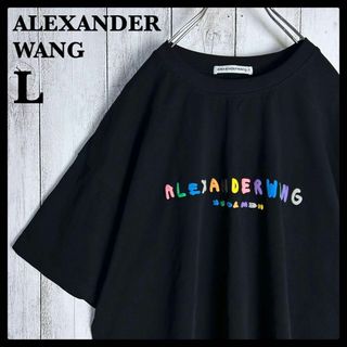 アレキサンダーワン(Alexander Wang)の【人気Lサイズ】アレキサンダーワン☆センターロゴ入りTシャツ レインボー 虹色(Tシャツ/カットソー(半袖/袖なし))