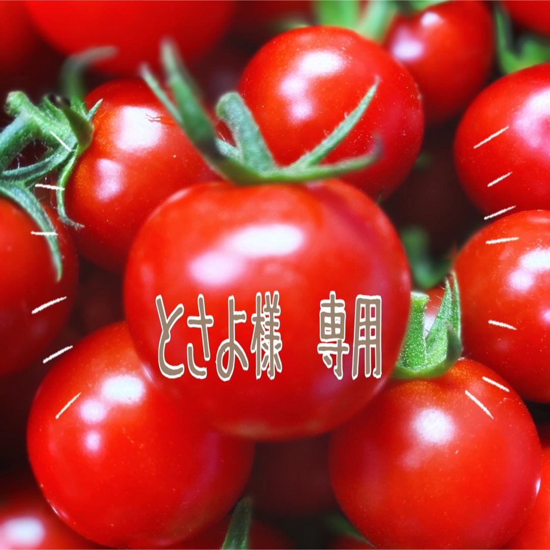 ミニトマト　千果２ｋｇ 食品/飲料/酒の食品(野菜)の商品写真