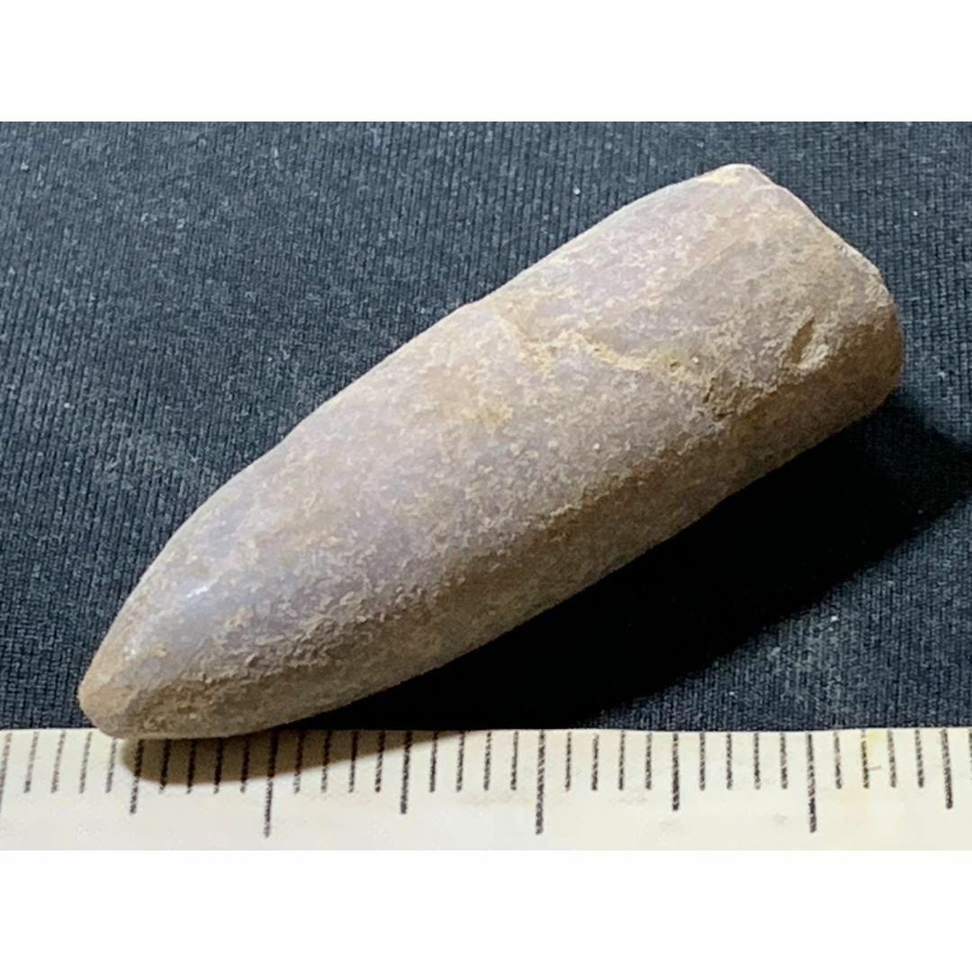 べレムナイト belemnite・2-6・8g（マダガスカル産化石標本） エンタメ/ホビーのコレクション(その他)の商品写真