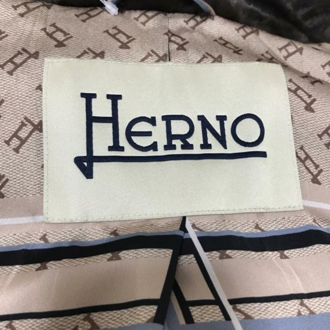 HERNO(ヘルノ)のHERNO(ヘルノ) コート サイズ38 S レディース美品  - ベージュ×ダークブラウン×マルチ 長袖/フェイクファー/冬 ポリエステル レディースのジャケット/アウター(その他)の商品写真