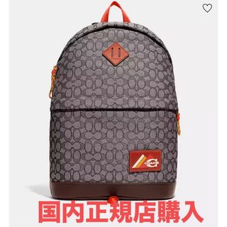 コーチ(COACH)のコーチ シグネチャー ユーティリティードーム キャンバス バックパック (バッグパック/リュック)