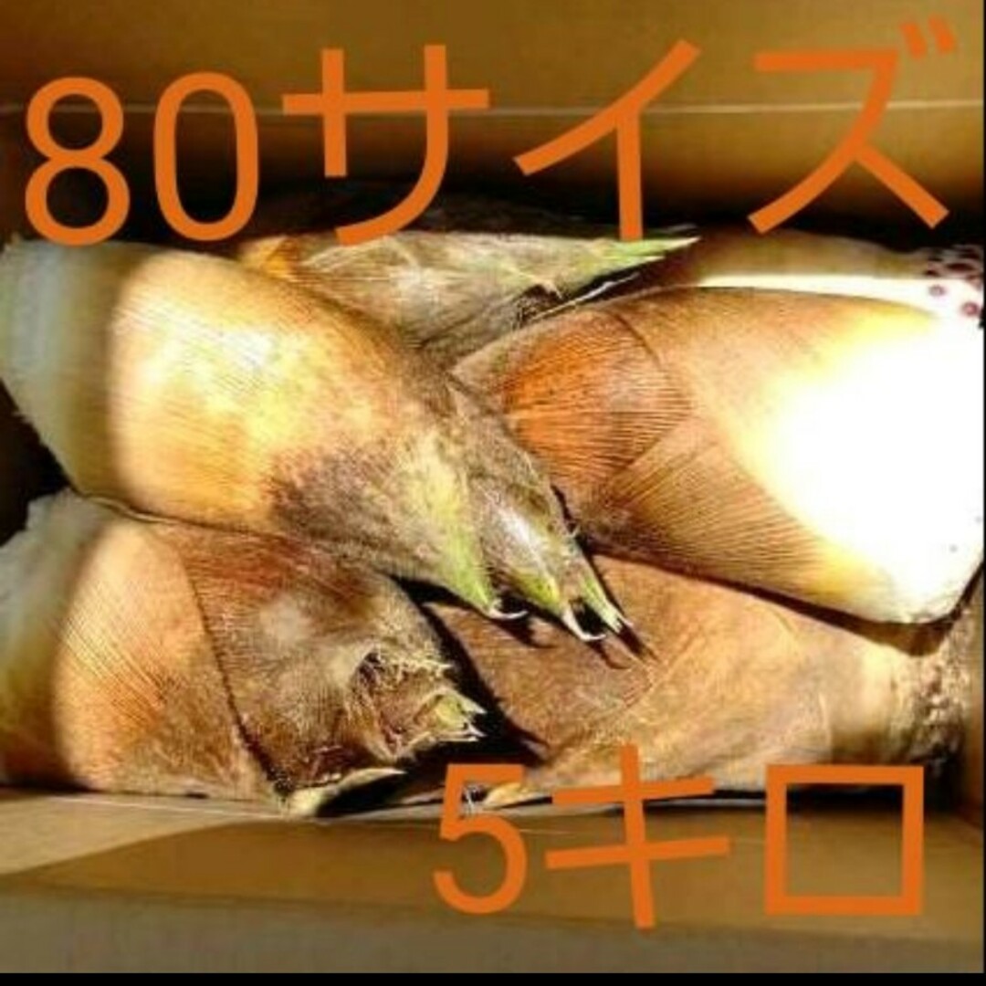 たけのこ　竹の子　筍　タケノコ　訳あり　傷あり　無農薬野菜 食品/飲料/酒の食品(野菜)の商品写真