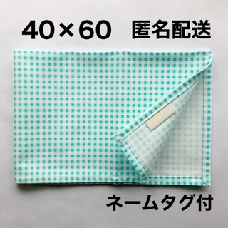 ランチョンマット 40×60 男の子 女の子 給食 ナフキン ミントグリーン 緑(外出用品)