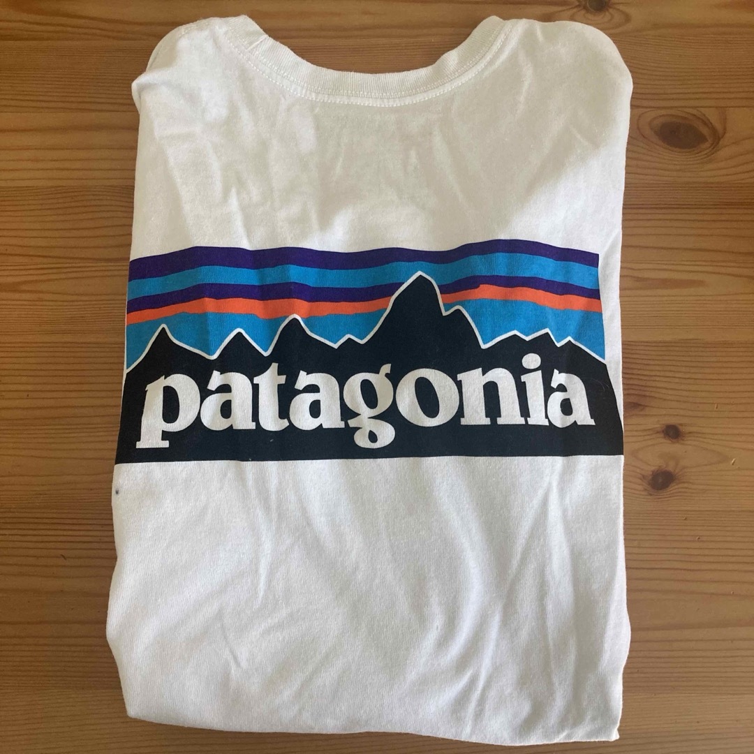 patagonia(パタゴニア)のPatagonia ロンT メンズ メンズのトップス(Tシャツ/カットソー(七分/長袖))の商品写真