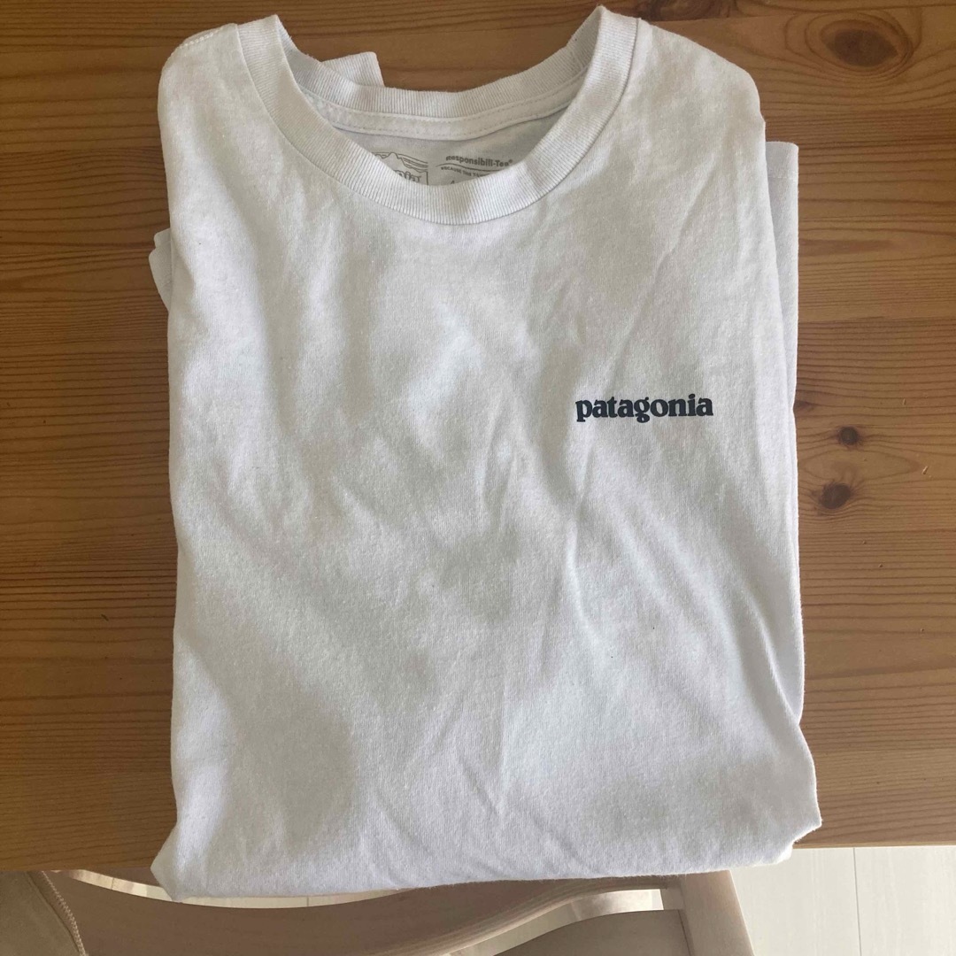 patagonia(パタゴニア)のPatagonia ロンT メンズ メンズのトップス(Tシャツ/カットソー(七分/長袖))の商品写真