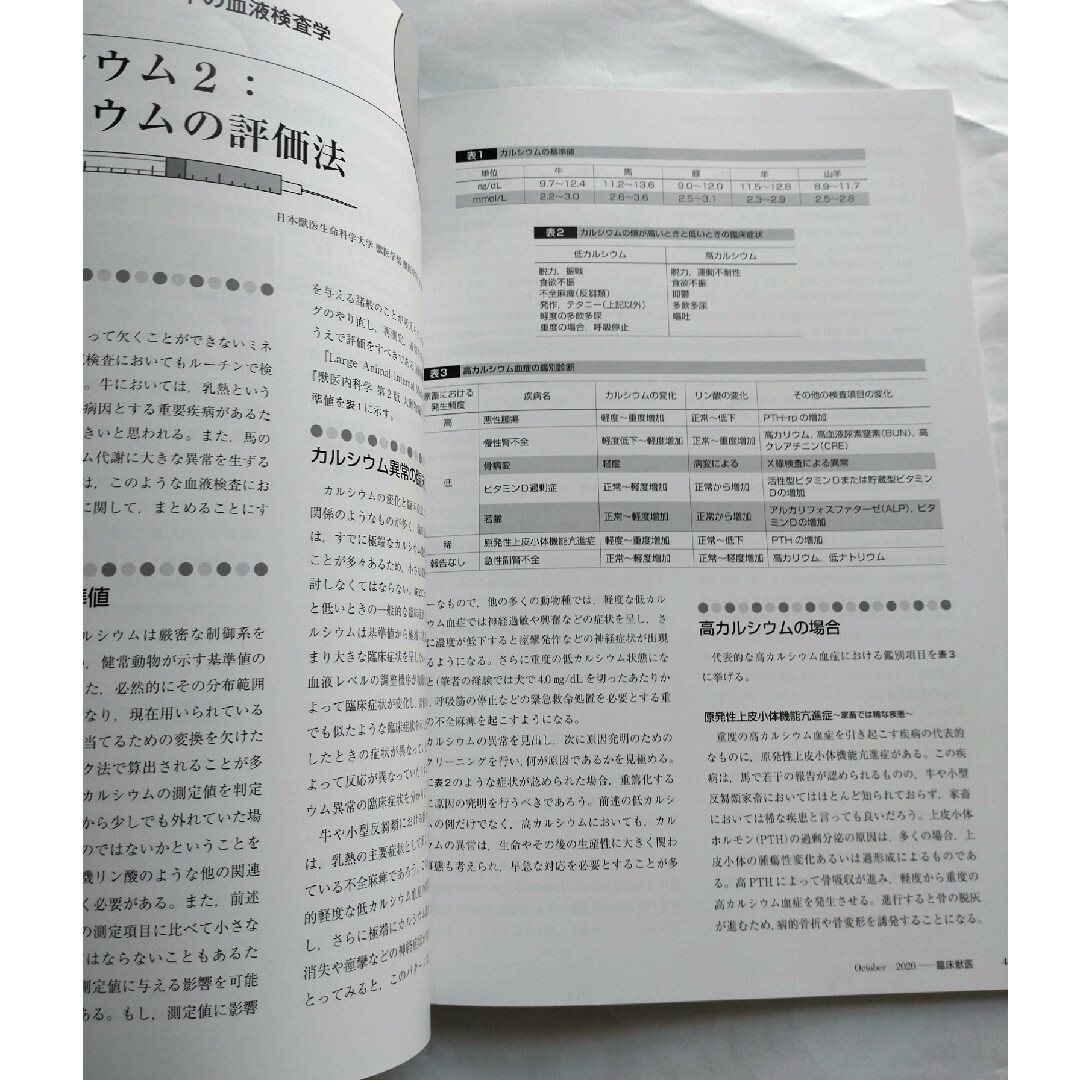 臨床獣医 2020年 10月号 エンタメ/ホビーの雑誌(専門誌)の商品写真