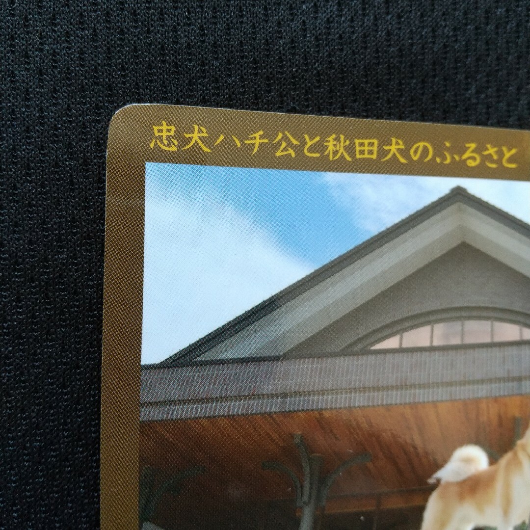 歴史まちづくりカード 大館市 エンタメ/ホビーのトレーディングカード(その他)の商品写真