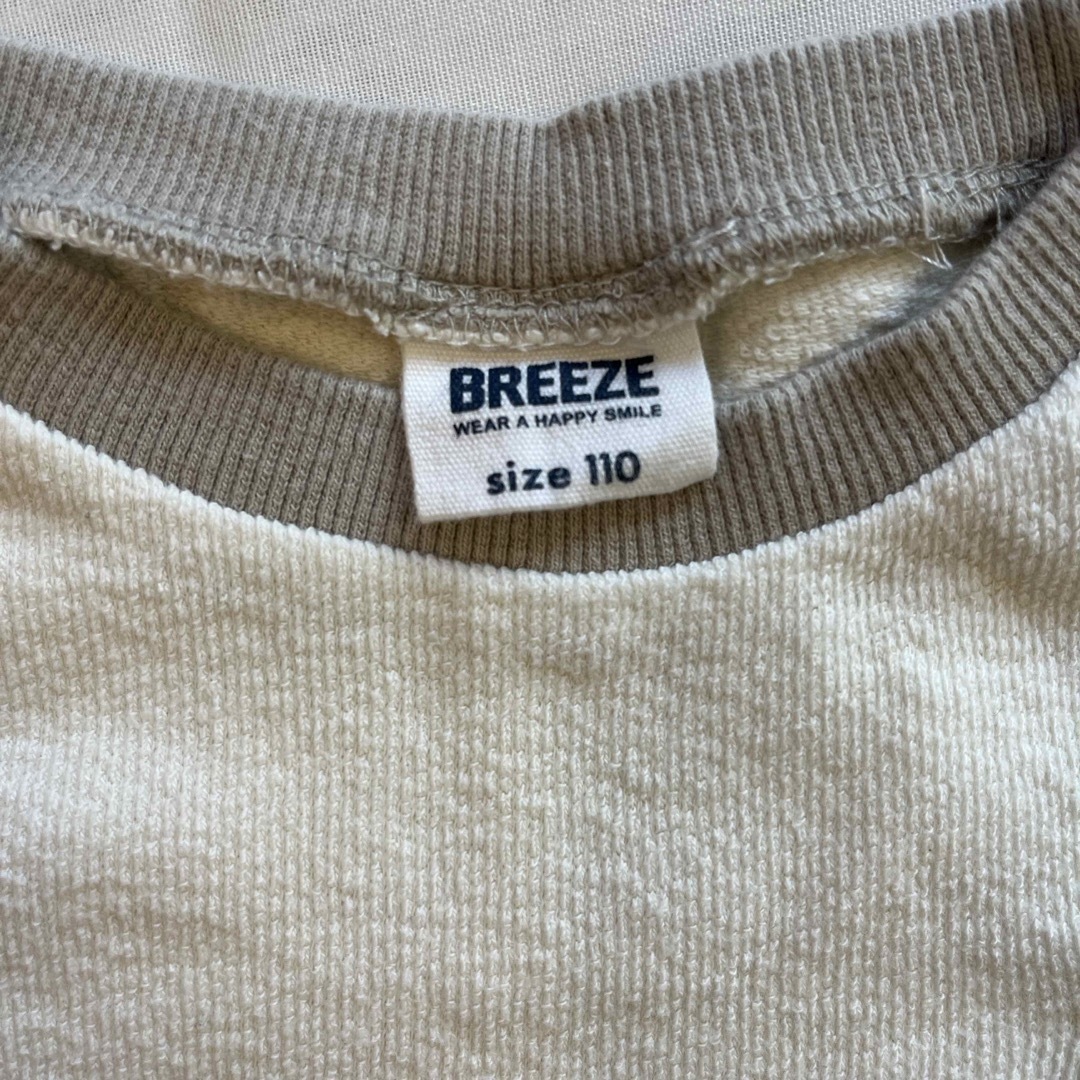 BREEZE(ブリーズ)のBREEZETシャツ110センチ キッズ/ベビー/マタニティのキッズ服男の子用(90cm~)(Tシャツ/カットソー)の商品写真