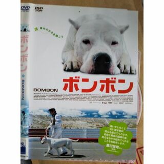 中古DVD『ボンボン』(外国映画)