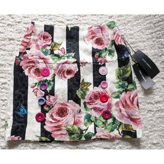 ドルチェアンドガッバーナ(DOLCE&GABBANA)のドルチェ&ガッバーナ◆花柄 蝶 ストライプ ミニスカート 38◆新品 13万円(ミニスカート)