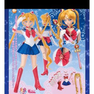 【新品】DDS セーラームーン Sailor Moon フルセット　ドール　DD