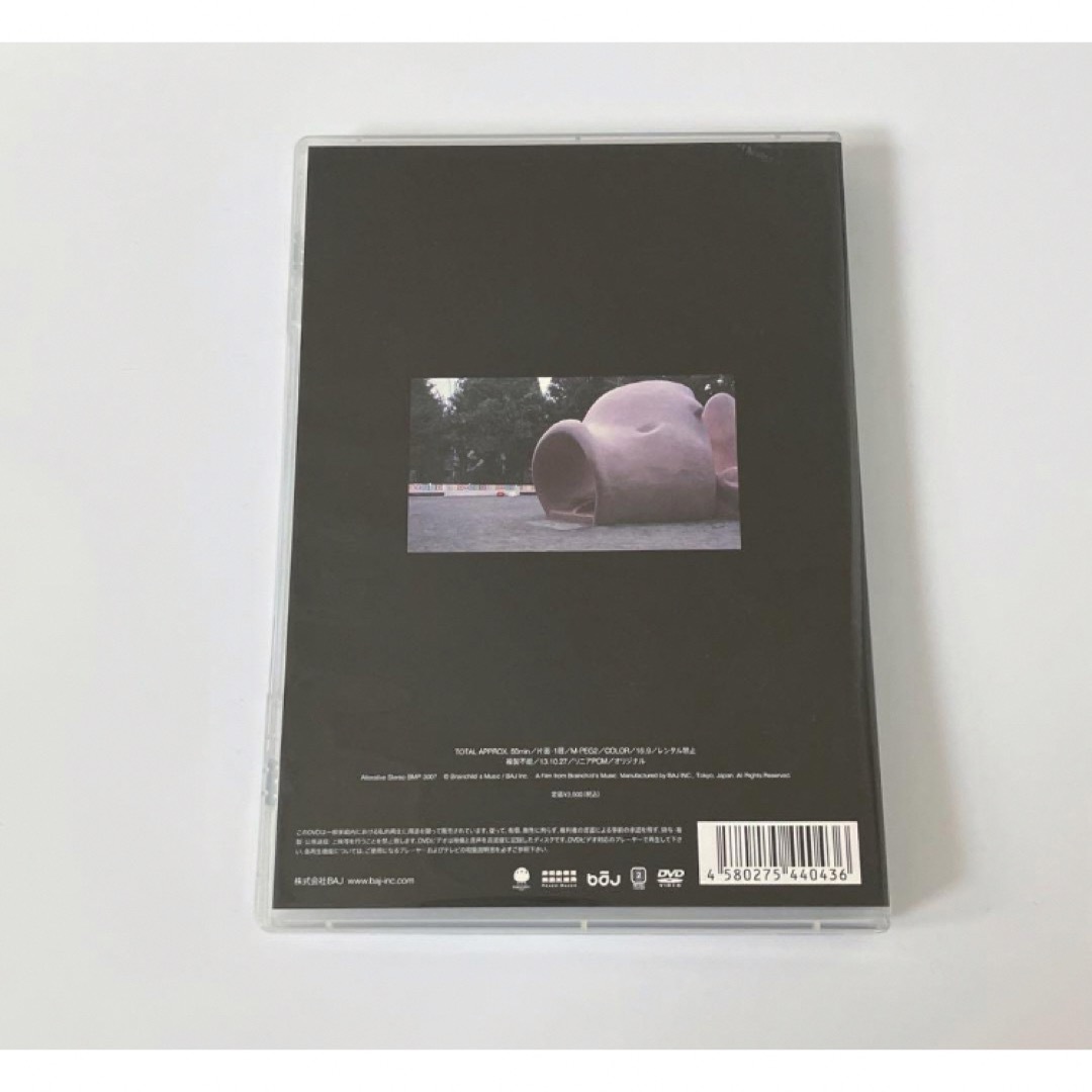 【廃盤/貴重】brainchild's DOCUMENTARY 非現実  DVD エンタメ/ホビーのDVD/ブルーレイ(ミュージック)の商品写真