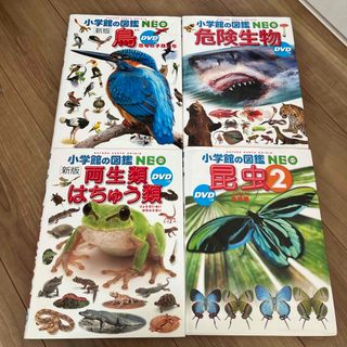 ショウガクカン(小学館)の鳥　両生類はちゅう類　昆虫　危険生物　4冊セット(絵本/児童書)