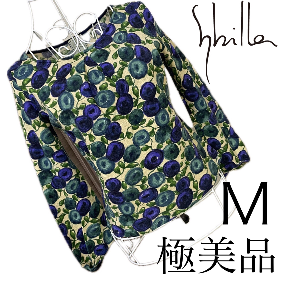 Sybilla(シビラ)の美品☆シビラ☆花柄☆トップス☆M レディースのワンピース(ひざ丈ワンピース)の商品写真