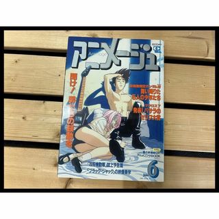 G② AM38 アニメージュ 当時物 1995年 6月号 マクロス7 ガンダムW(その他)