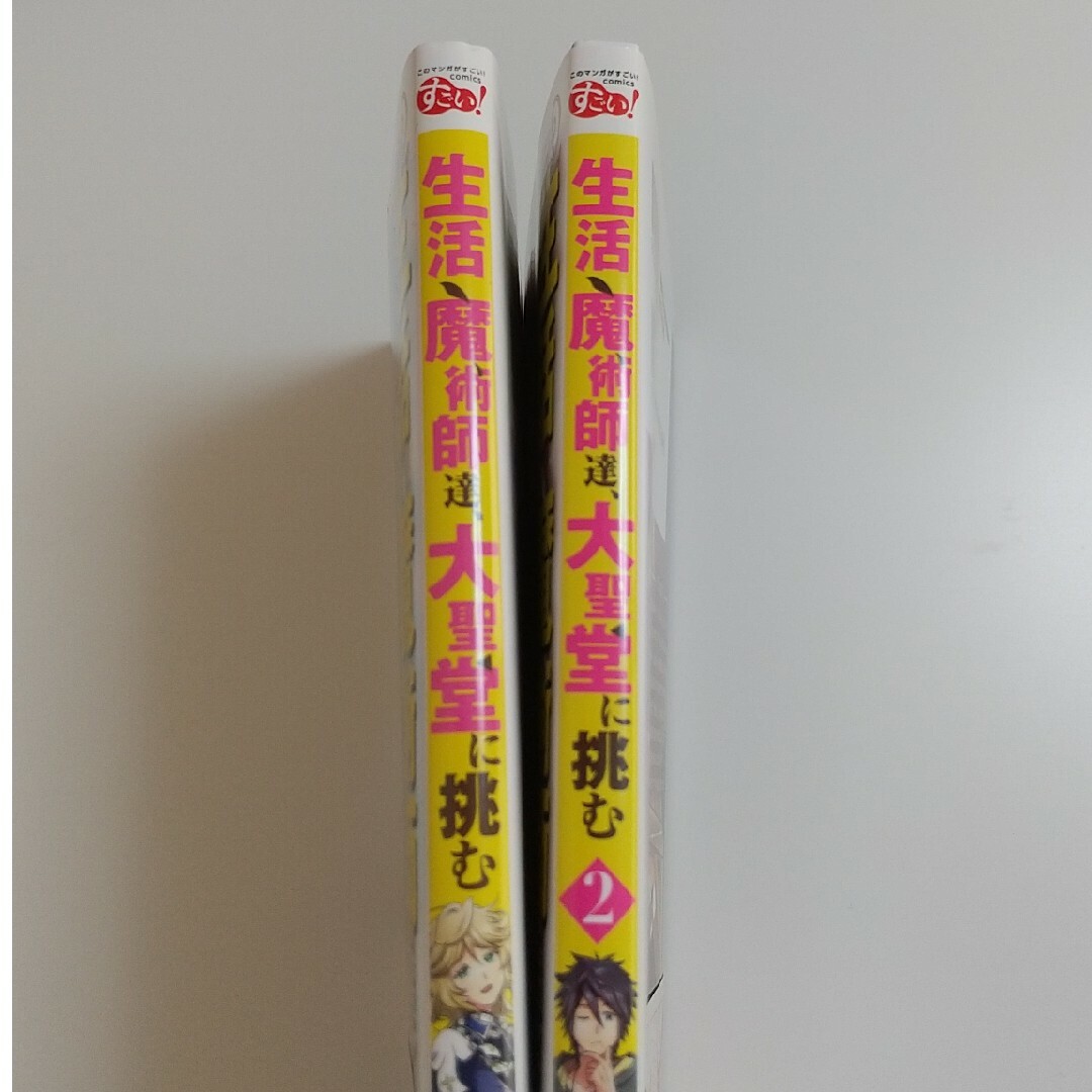 宝島社(タカラジマシャ)の生活魔術師達、大聖堂に挑む 川上ちまき/丘野境界/東西 エンタメ/ホビーの漫画(青年漫画)の商品写真