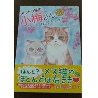 キジトラ猫の小梅さん  20巻(女性漫画)