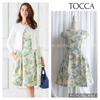 トッカ(TOCCA)のTOCCA*Freesiaドレス 大きいサイズ(ひざ丈ワンピース)