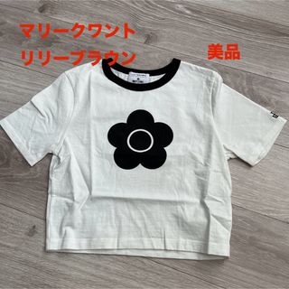 MARY QUANT - LILY BROWN×MARY QUANT クロップドシャツ　tシャツ　半袖