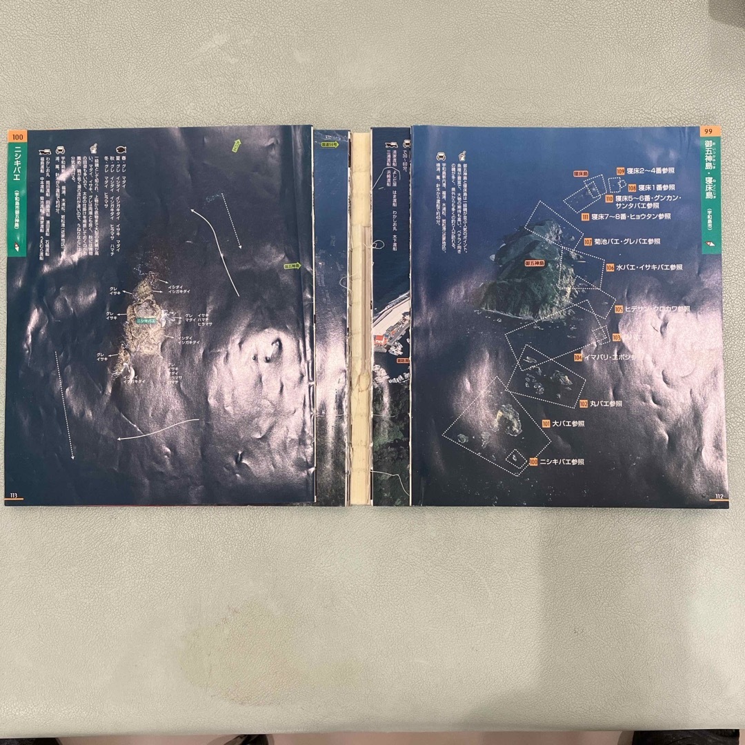 愛媛の海釣り宇和海 エンタメ/ホビーの本(趣味/スポーツ/実用)の商品写真