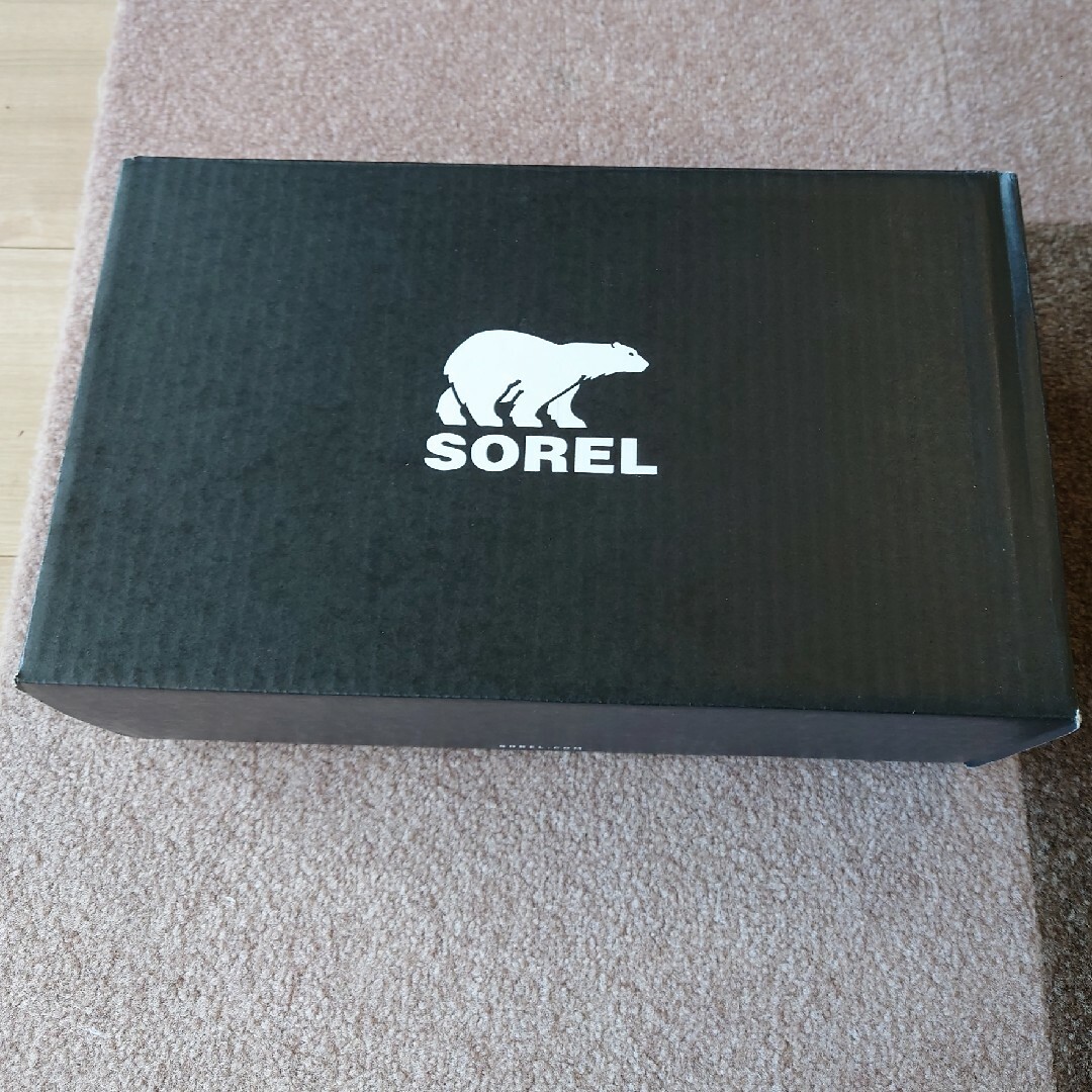 SOREL(ソレル)のSOREL　サンダル　24 レディースの靴/シューズ(サンダル)の商品写真