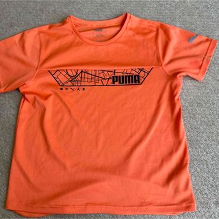 アディダス(adidas)のプーマTシャツ160(Tシャツ/カットソー)